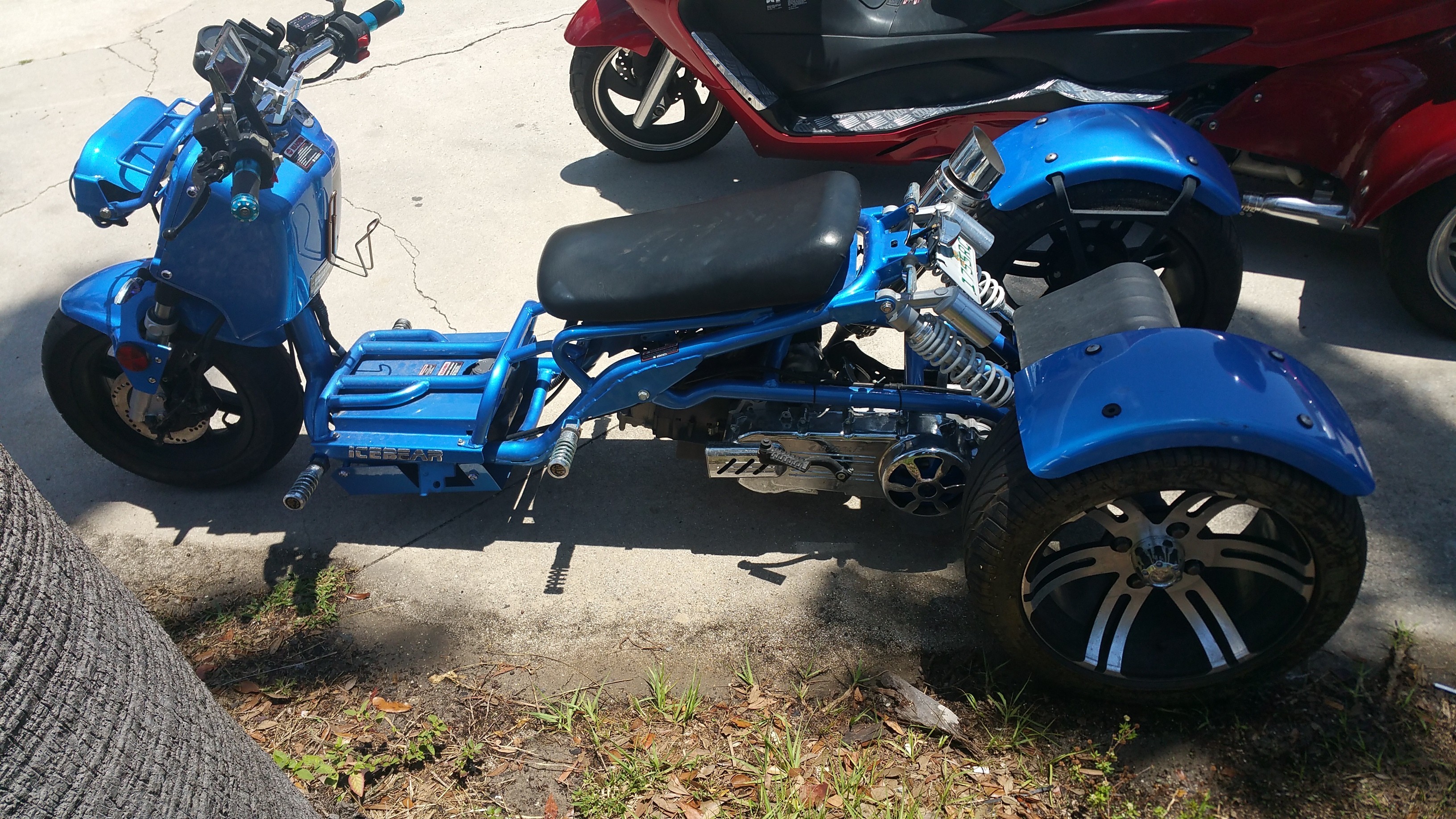 ICE BEAR TRIKE