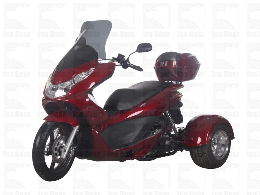 Q6 Ice bear trike scooter